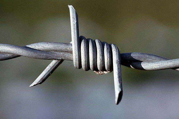 What is Barbed Wire: History, Types, Uses, and Benefits